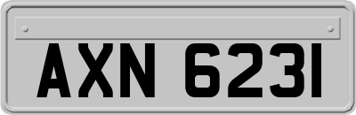 AXN6231