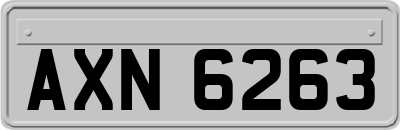AXN6263