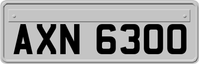 AXN6300