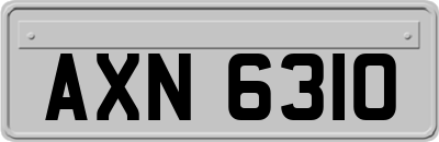 AXN6310