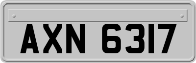 AXN6317