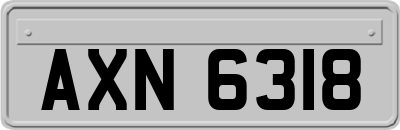 AXN6318
