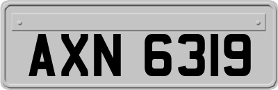 AXN6319