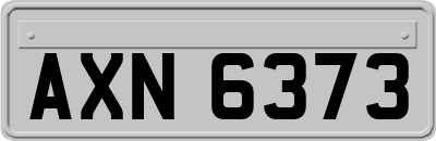 AXN6373