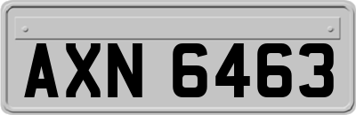 AXN6463