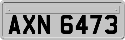 AXN6473