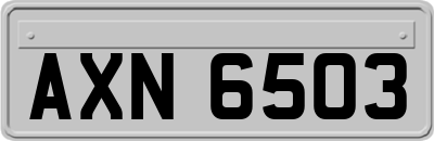 AXN6503