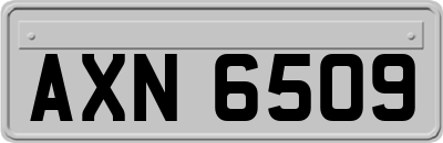 AXN6509