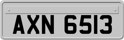 AXN6513