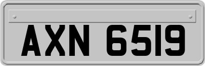AXN6519