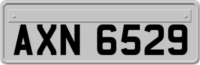 AXN6529