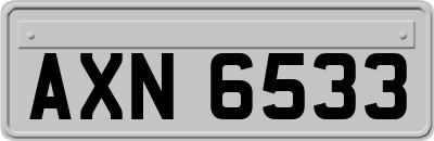 AXN6533