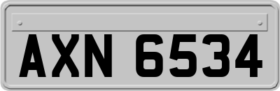 AXN6534
