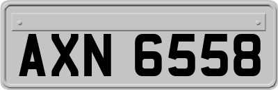AXN6558