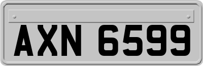 AXN6599