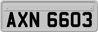 AXN6603