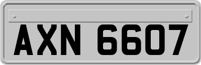 AXN6607