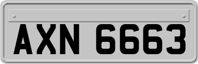 AXN6663