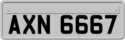 AXN6667