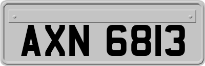 AXN6813