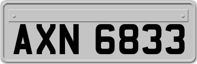 AXN6833