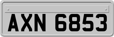 AXN6853