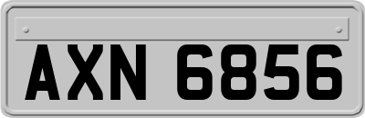 AXN6856