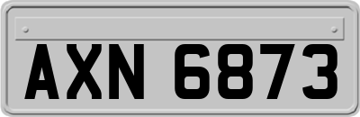 AXN6873
