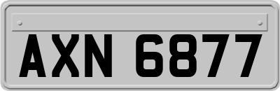 AXN6877