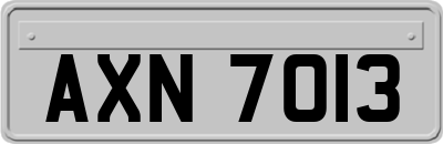 AXN7013