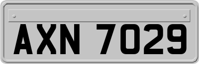 AXN7029