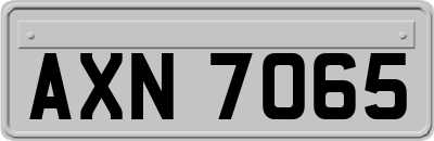 AXN7065