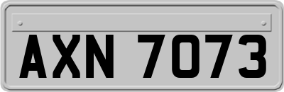 AXN7073