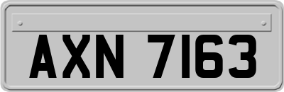 AXN7163