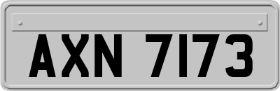 AXN7173