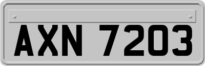 AXN7203