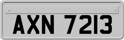 AXN7213