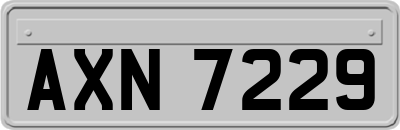 AXN7229