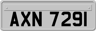 AXN7291