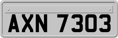 AXN7303