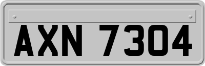 AXN7304