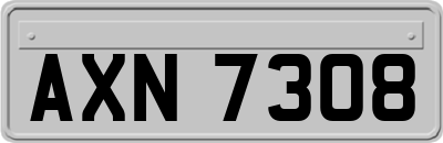 AXN7308