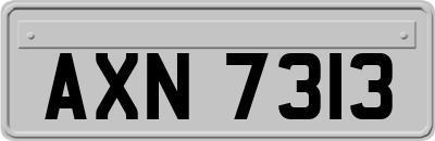 AXN7313