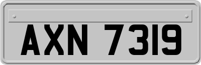 AXN7319