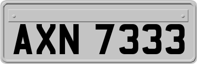 AXN7333