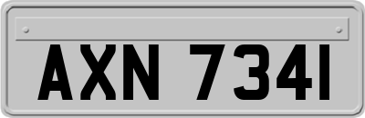 AXN7341