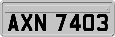 AXN7403