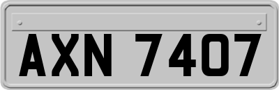 AXN7407