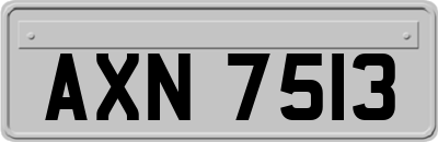 AXN7513