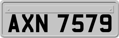 AXN7579